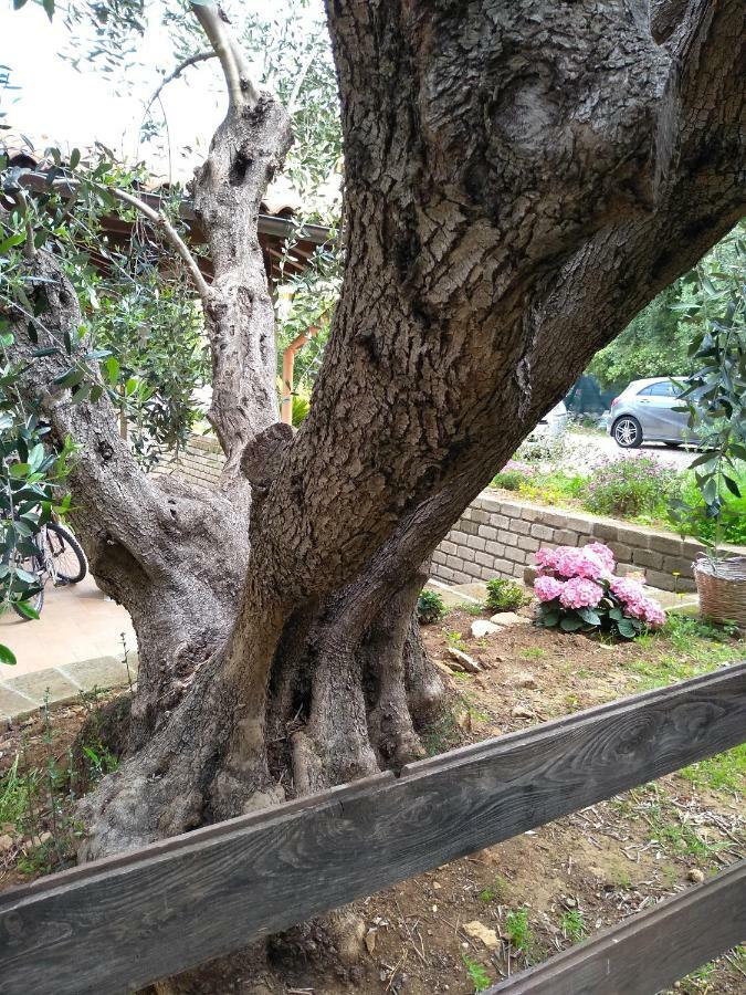 Casavacanze Peperosa Civitavecchia Luaran gambar